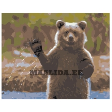 Maalid numbrite järgi Z-AB437