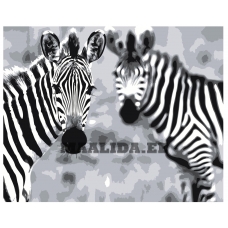 Maalid numbrite järgi Z-AB438