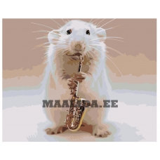 Maalid numbrite järgi Z-AB441