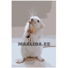 Maalid numbrite järgi Z-AB443