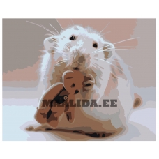 Maalid numbrite järgi Z-AB444