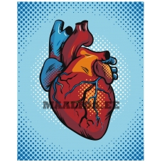 Maalid numbrite järgi Z-AB454