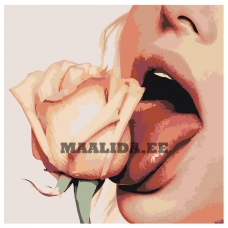 Maalid numbrite järgi Z-AB488