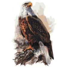 Maalid numbrite järgi Z-AB48