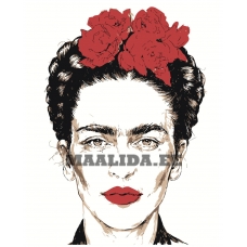 Maalid numbrite järgi Z-AB497