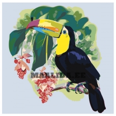 Maalid numbrite järgi Z-AB4