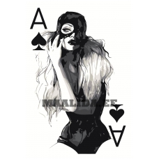 Maalid numbrite järgi Z-AB523