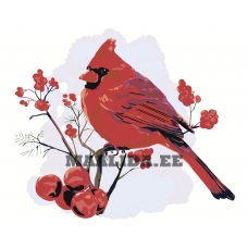 Maalid numbrite järgi Z-AB52