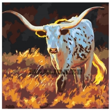 Maalid numbrite järgi Z-AB558