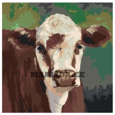 Maalid numbrite järgi Z-AB562