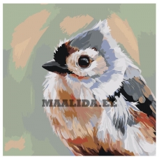 Maalid numbrite järgi Z-AB563