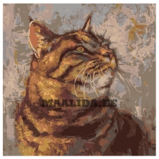 Maalid numbrite järgi Z-AB564