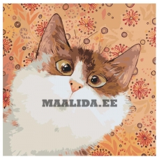 Maalid numbrite järgi Z-AB567