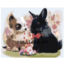 Maalid numbrite järgi Z-AB56