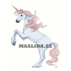 Maalid numbrite järgi Z-AB570