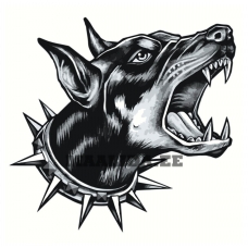 Maalid numbrite järgi Z-AB577