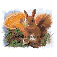 Maalid numbrite järgi Z-AB57