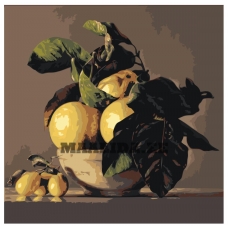 Maalid numbrite järgi Z-AB580