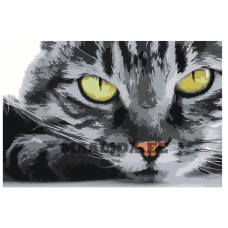 Maalid numbrite järgi Z-AB592