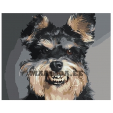 Maalid numbrite järgi Z-AB593