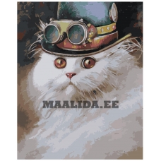 Maalid numbrite järgi Z-AB5995