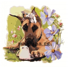 Maalid numbrite järgi Z-AB5