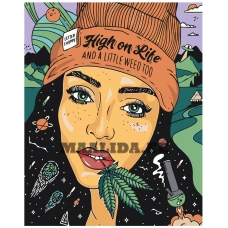 Maalid numbrite järgi Z-AB609