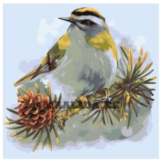 Maalid numbrite järgi Z-AB61