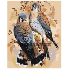 Maalid numbrite järgi Z-AB62