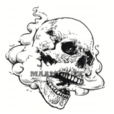 Maalid numbrite järgi Z-AB630