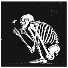 Maalid numbrite järgi Z-AB631