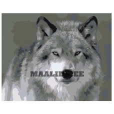 Maalid numbrite järgi Z-AB639