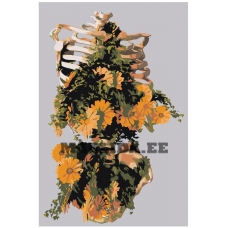 Maalid numbrite järgi Z-AB655