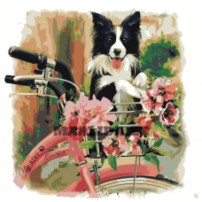 Maalid numbrite järgi Z-AB65