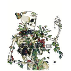 Maalid numbrite järgi Z-AB662