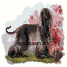 Maalid numbrite järgi Z-AB6