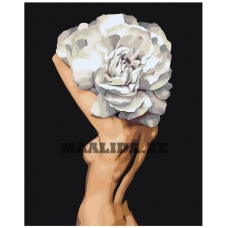 Maalid numbrite järgi Z-AB716