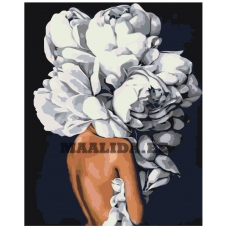 Maalid numbrite järgi Z-AB721