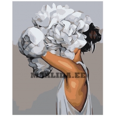 Maalid numbrite järgi Z-AB729