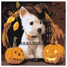 Maalid numbrite järgi Z-AB72