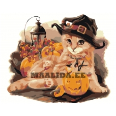 Maalid numbrite järgi Z-AB76