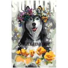 Maalid numbrite järgi Z-AB78