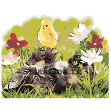 Maalid numbrite järgi Z-AB79