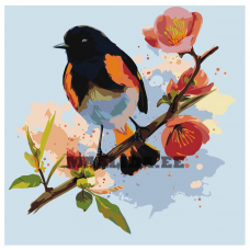 Maalid numbrite järgi Z-AB7