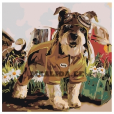 Maalid numbrite järgi Z-AB80