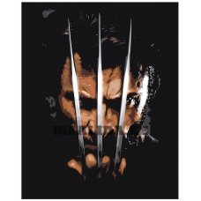 Maalid numbrite järgi Z-AB92