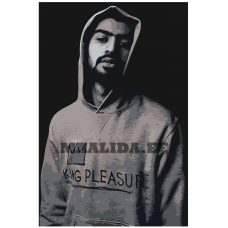 Maalid numbrite järgi Z-AB97