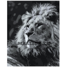 Maalid numbrite järgi Z-MV151