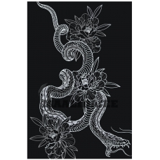 Maalid numbrite järgi Z-MV209