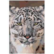 Maalid numbrite järgi Z-MV216